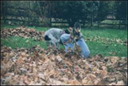 Click to view exif information